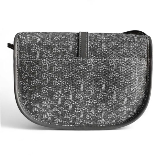 Grey Goyard bag by Central ae featuring signature pattern and elegant design, displayed on a neutral background.